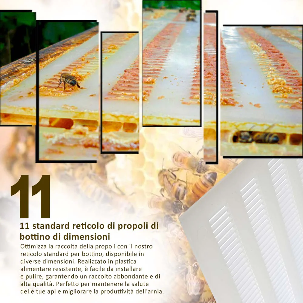 Immagine prodotto 12