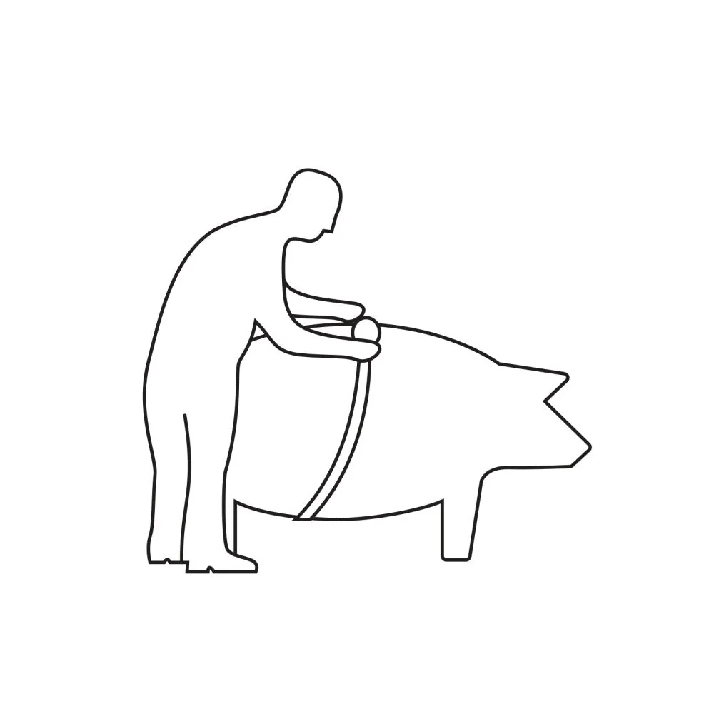 Immagine prodotto 3