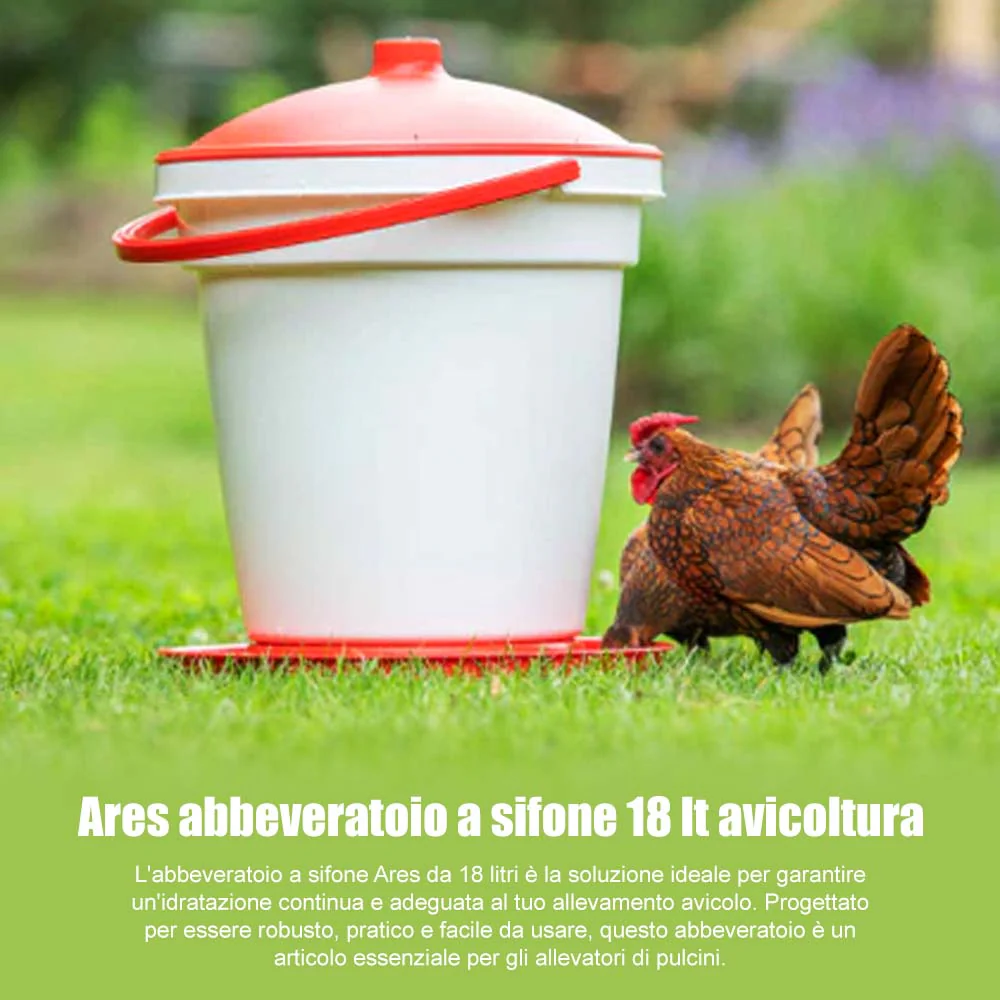 Immagine prodotto 8