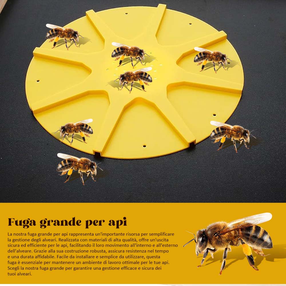 Immagine prodotto 13