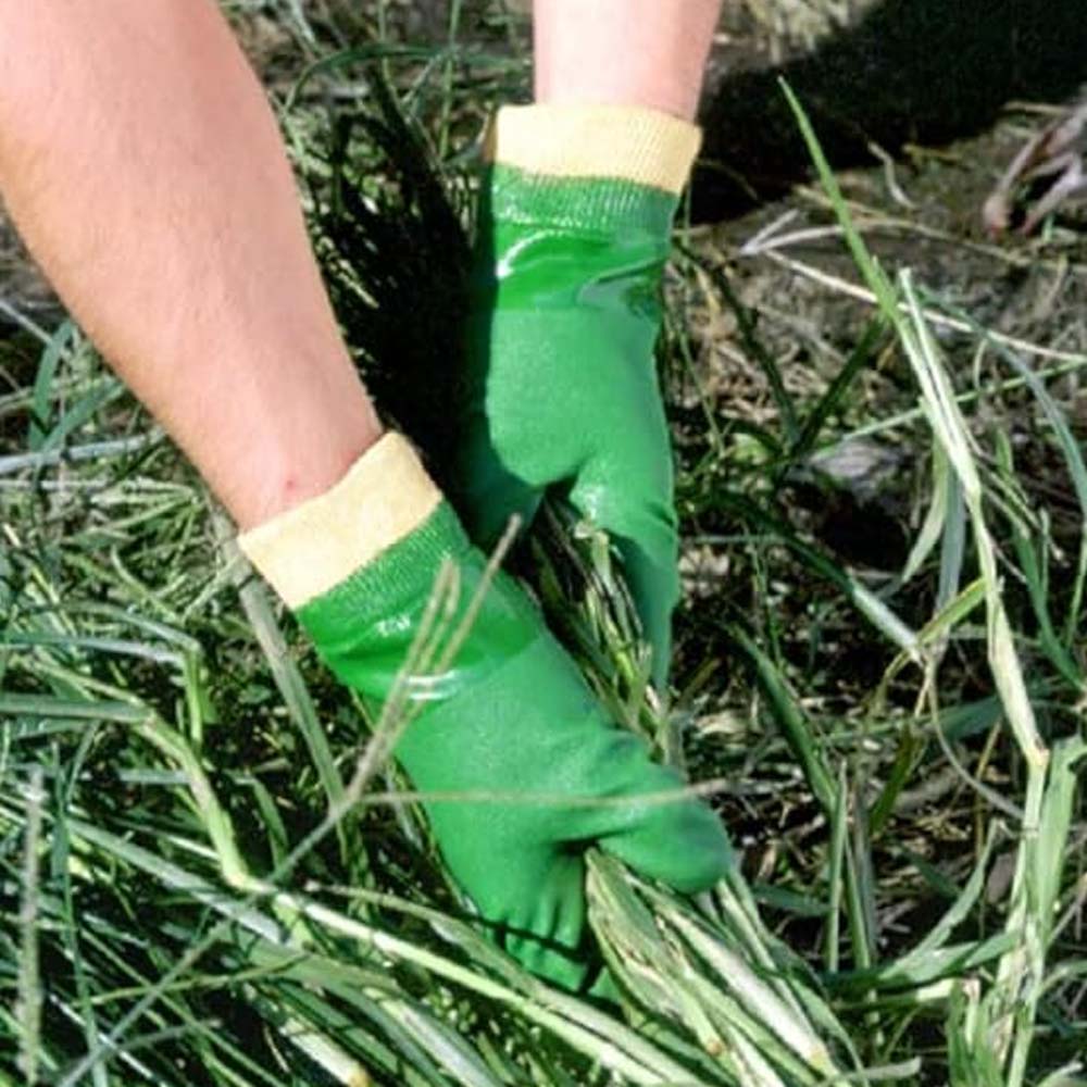 Immagine prodotto 8