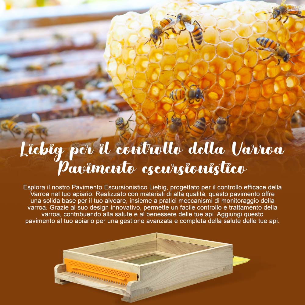 Immagine prodotto 7